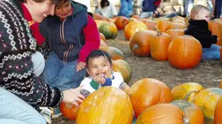 The Killer Nanny Le doute raisonnable