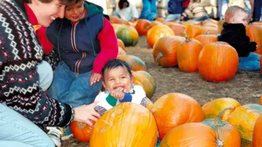 Le doute raisonnable