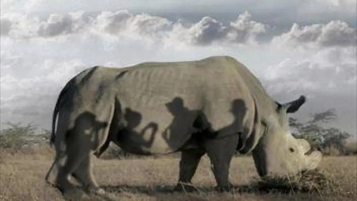 The Last Male on Earth