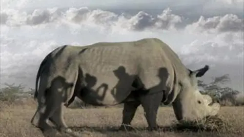 Épisodes de The Last Male on Earth