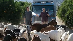 The Last Man on Earth