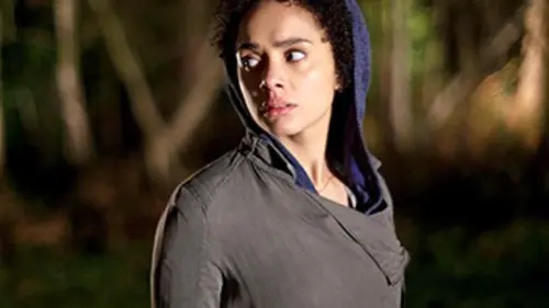 The Level S01E05 Une mine d'or