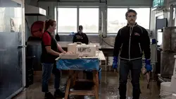 The Machinery S02E01