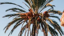 The Mallorca Files S02E02 Enterrer le passé