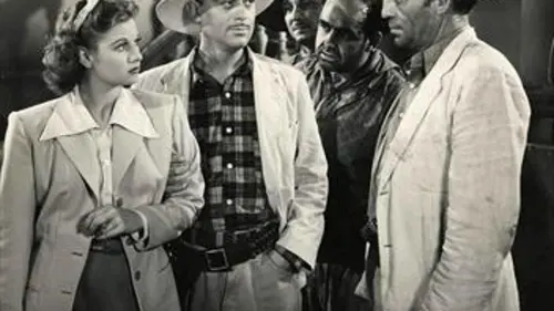 The Marines Fly High