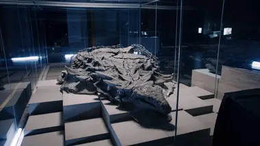 The Nature of Things S59E09 Dino Cold Case