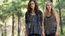 Sur AB 1 à 20h56 : The Originals