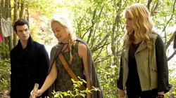 Visuel de The Originals
