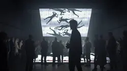 The Raft en streaming