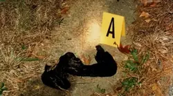 The Real Murders of Atlanta Un couple au-dessus de tout soupçon