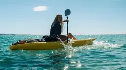 The Reef 2 : Traquées