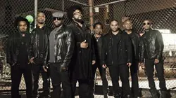 The Roots
