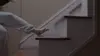 The Staircase : l'affaire Michael Peterson