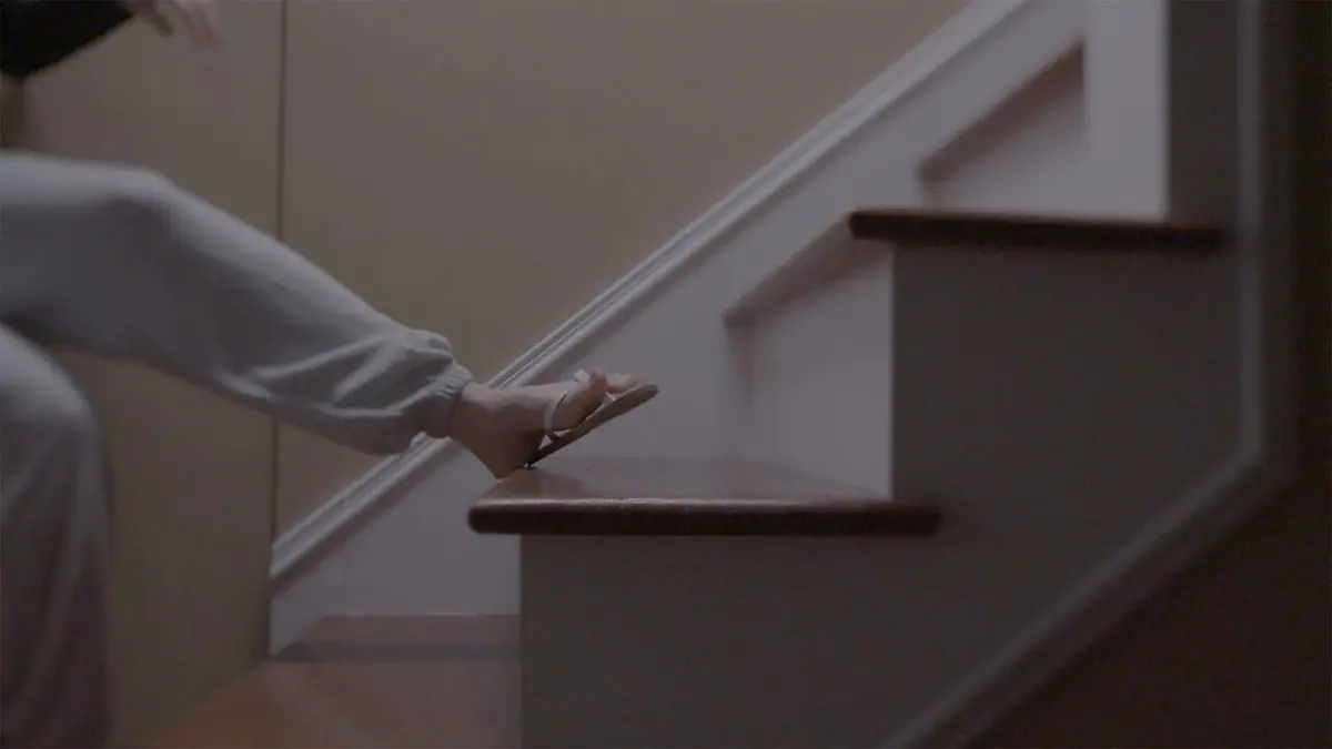 The Staircase : l'affaire Michael Peterson Reversal of Fortune