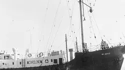 Visuel de The Summer of Love