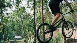 The Thief Collector : Voleurs par passion