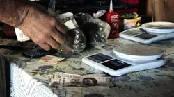 The Trade : le commerce de la mort