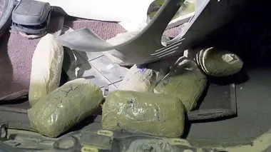 The Trade : le commerce de la mort