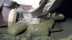 The Trade : le commerce de la mort