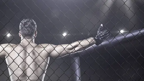 The Ultimate Fighter S31E09 Pro versus perso