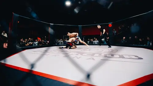 Casting The Ultimate Fighter