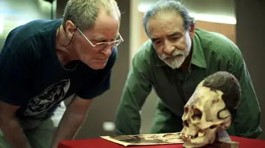 Crâne d'extra-terrestre au Pérou / OVNI en Mer Baltique