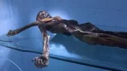 The Unexplained Files