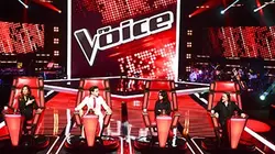 Sur TF1 à 20h55 : The Voice, la plus belle voix