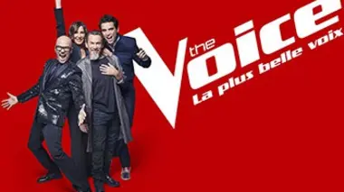 The Voice, la plus belle voix Episode 14