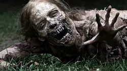 The Walking Dead S01E05 Wildfire