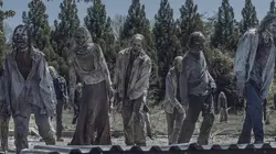 The Walking Dead  S11E16 Catastrophes naturelles