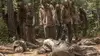Alpha dans The Walking Dead S10E04 A bas les chuchotements (2019)