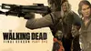 Daryl Dixon dans The Walking Dead S11E14 Pourri en son sein (2022)