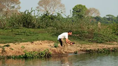 Trempés et affamés
