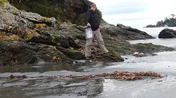 Sur Discovery Channel à 21h35 : The Wheel