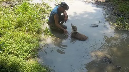 The Wildman S01E08 Hors de son élément