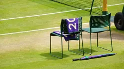 The Wimbledon's Crown