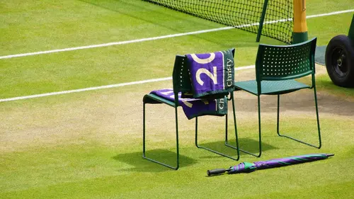 The Wimbledon's Crown
