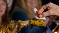 The World's Most Extraordinary Christmas Dinners