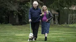 This England, les années Boris Johnson