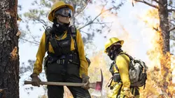 Those Who Wish Me Dead