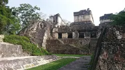 Tikal, la cité Maya disparue