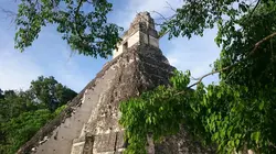 Tikal, la cité Maya disparue