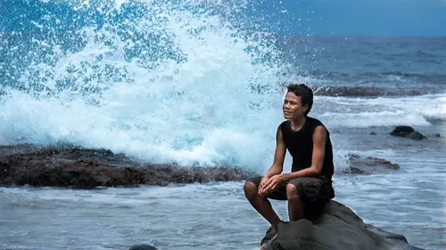 Tikopia, une Terre en miniature