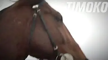 Timoko, le haut Landais