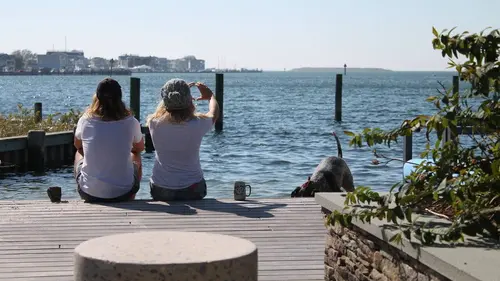 Tiny House : mini-maison à emporter S06E14 Bateau sur l'eau