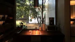 Tiny House : mini maison sur mesure Mini-maison techno de 40 m²