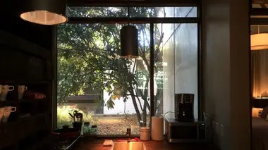Tiny House : mini maison sur mesure Mini-maison hawaïenne de 48 m²