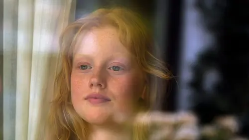 Audiences TV : Tir croisé