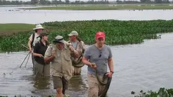 Visuel de Titanoboa, le plus grand serpent du monde
